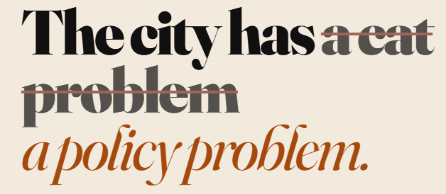 The city has a cat problem — a policy problem. Typography art advocating for NYC animal rescue funding.